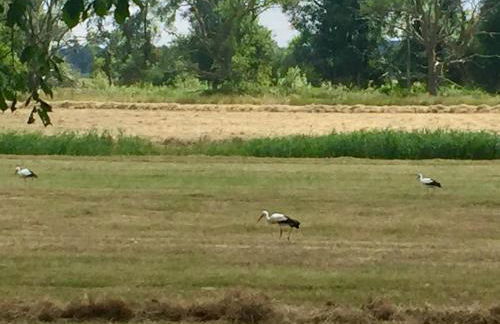 Apartments "Am Nationalpark" - Foto 16