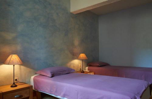 Jardin de Palme - Foto 19