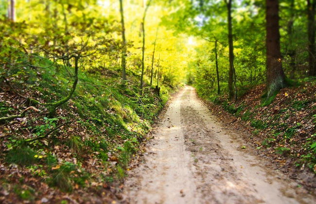 Fenced Cottage in the Middle of Nature, Right by the Lake, Rentyny - Photo 10