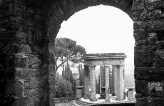 Guelfi6 Poppi - Foto 15