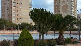 Lanzas Beach - Photo 3