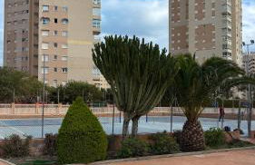 Lanzas Beach - Photo 3