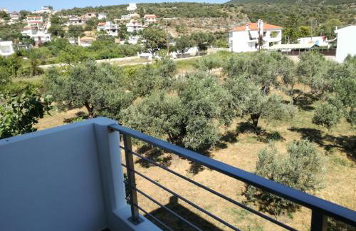 Almira Ghouse - Foto 24