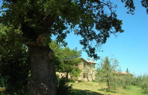 Casa Vacanze Porta Vecchia - Foto 22