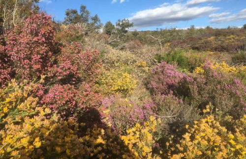 Mosteirinho - Foto 17