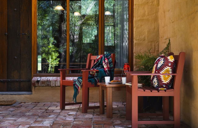 Gumtree Spring - Foto 18