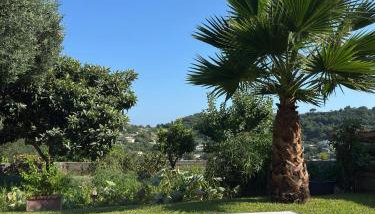 Il giardino - Foto 3