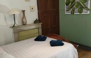 Kaya Rentals - Foto 12