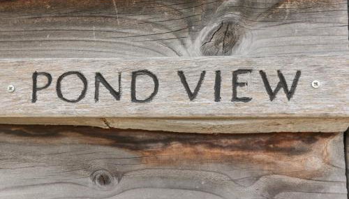 Pond View - Foto 3