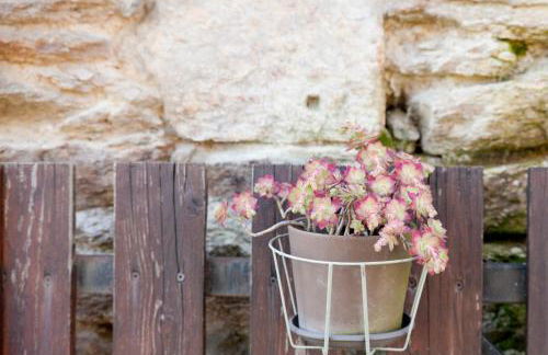 Les Groseilliers - Photo 14