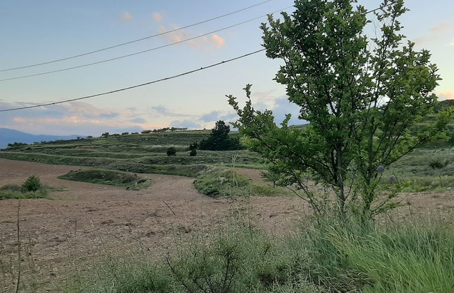 Casa Rural Garnacha de Borja has a Barbacue and Terrace - Foto 55
