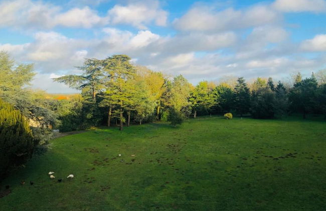 Villa in Nalliers With Private Pool and Garden - Foto 33