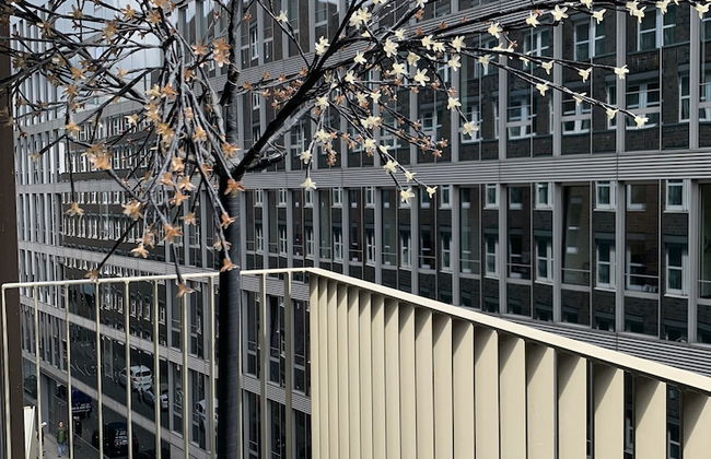 Domapartment Cologne City Domblick - Photo 9