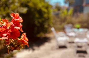 Sofia's house - Foto 1