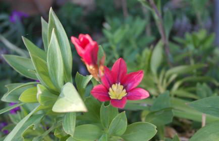 Casa da Quinta do Porto - Foto 19