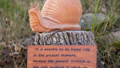 Podere Felceto - Photo 4