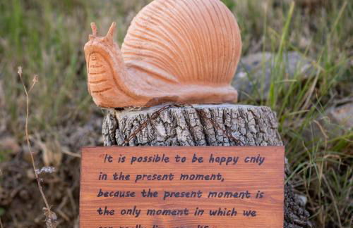 Podere Felceto - Photo 4