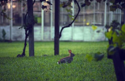 Luxury Cabin for Two with Beautiful River Views near Knoxville - Foto 10