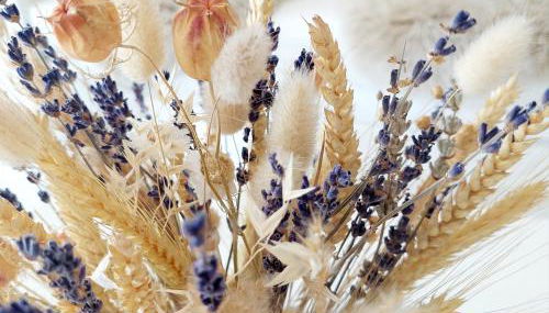 Otto drei - Ferienwohnung am Kaiserstuhl - Foto 5