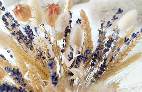 Otto drei - Ferienwohnung am Kaiserstuhl - Photo 5