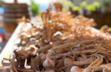 LA TANA DEL PICCHIO - Photo 30