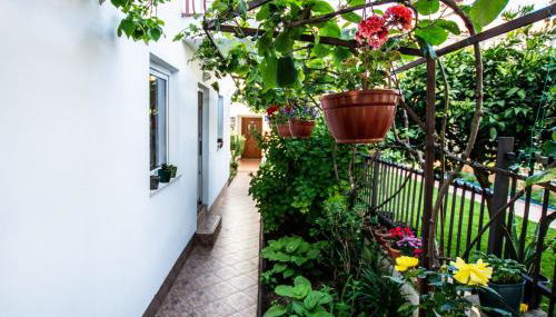 Apartments Lea Poreč - Foto 2, Garden view