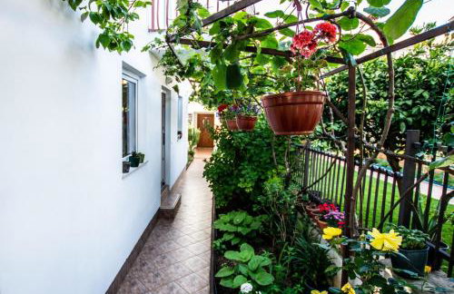 Apartments Lea Poreč - Foto 2