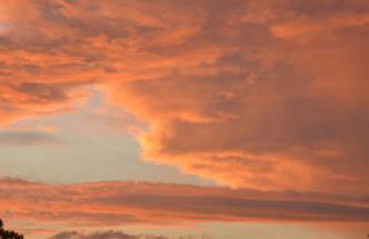 Agriturismo Riparossa - Foto 22