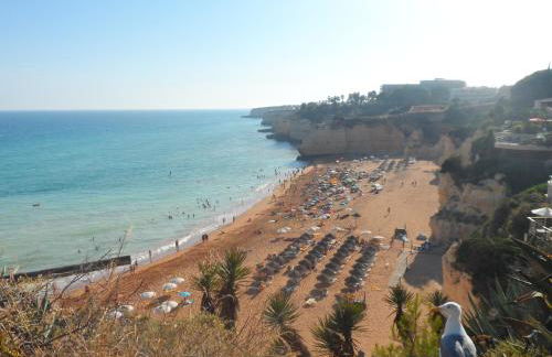 Apartamento Varandas do Sol Nascente - Foto 18