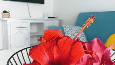 Red Hibiscus Corralejo iRent Fuerteventura - Photo 3