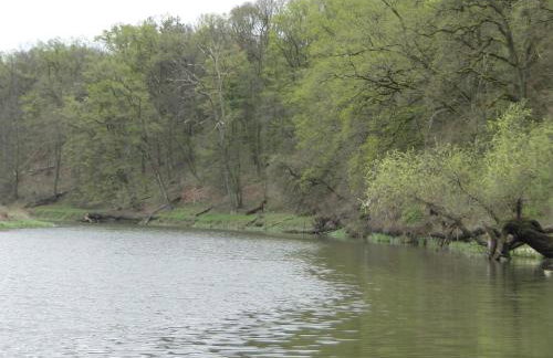 Siedlisko Na Szlaku Odry - Foto 26