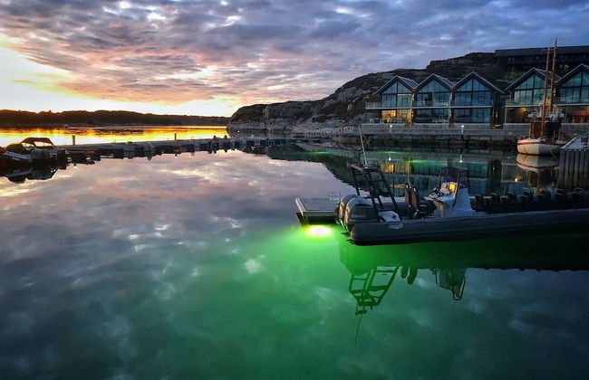 Panorama Hotell Rorbusuiter - Foto 64