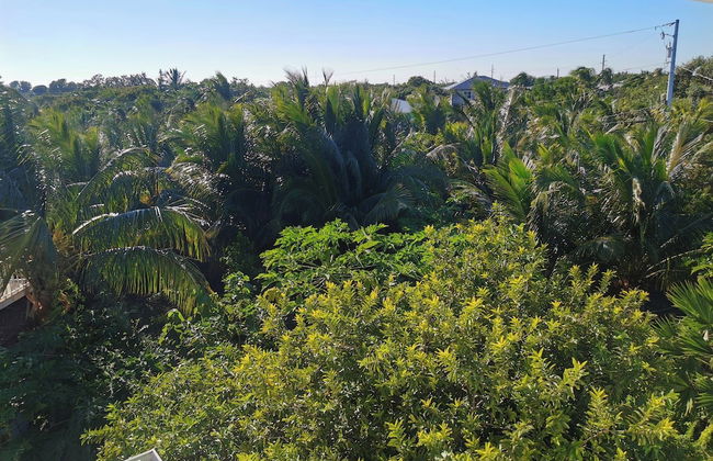 Atlantic View Luxury Villa with Pool - Foto 62