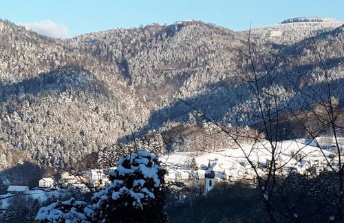 Ferienwohnung Schwarzwaldblick - Foto 12