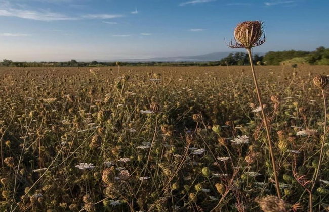 Modern Apartment in Agliana With Shared Garden - Foto 37