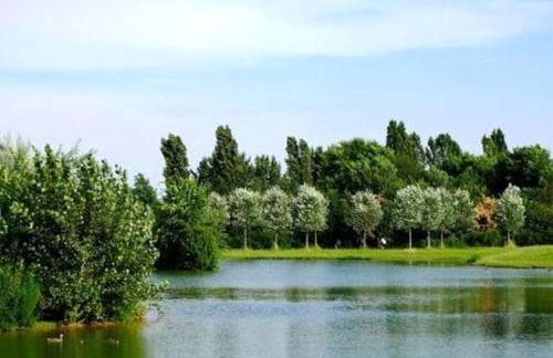 Milano Bicocca ultimo piano con ampia terrazza - Foto 52