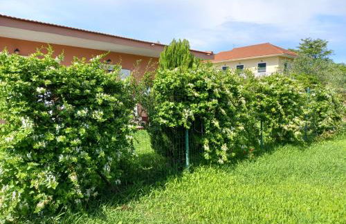 KOSTAS APARTMENTS - Foto 37