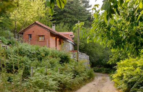 Stone Forest Escape - Cozy Cinema & Starry Sky - Foto 26