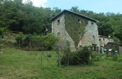 La casa nel bosco-senza auto - Foto 18