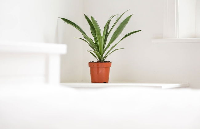 L1 Boutique Apartments - Foto 26