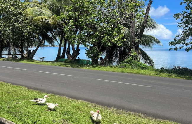 Fare Chez Franck - Photo 34