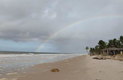 Casa beira mar com piscina Coruripe Povoado Miai de cima - Foto 44