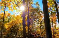 Kolej na sudety - Foto 52