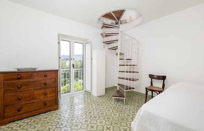 La nave del té - Foto 6