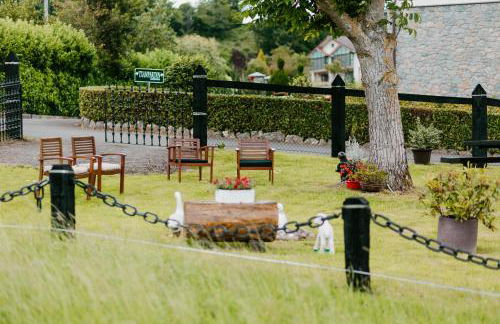 Txanpardin - Foto 13