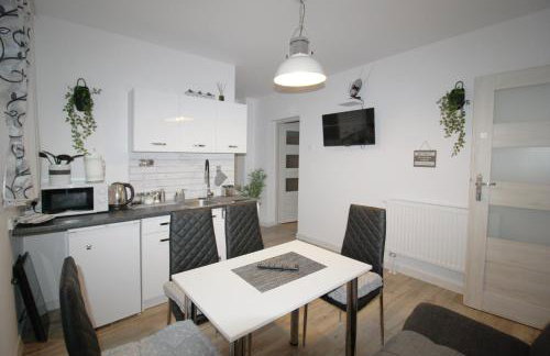 Apartamenty Bieszczady - Foto 55