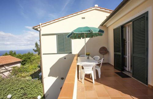 Bougainvillea Primo Piano - Goelba - Foto 23