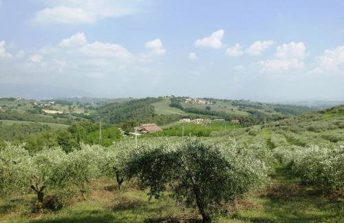 Agriturismo Belsito Pian Di Boccio - Foto 14