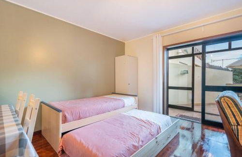 Tulipa do Gêres - Foto 11