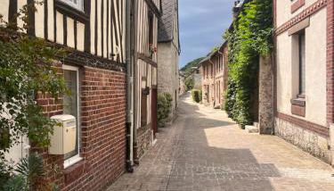 Gite LA FLEUR DE SEINE - Foto 2